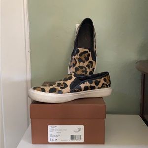 Leopard prints sneakers